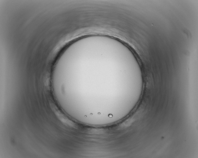 X0000110321499200906042033