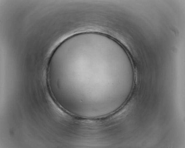 X0000110321500200906042033