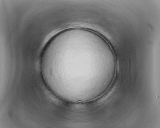 X0000110321501200906042033