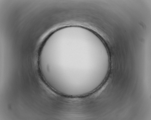 X0000110321502200906042033