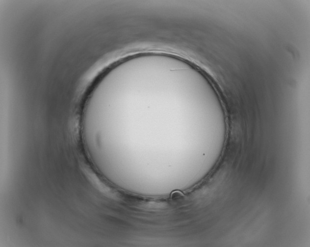 X0000110321503200906042033