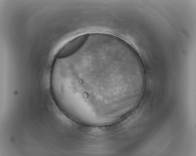 X0000110321504200906042033