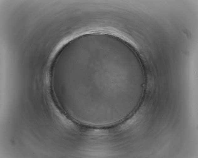 X0000110321506200906042033