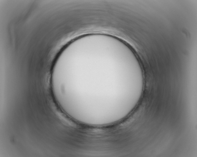 X0000110321507200906042033