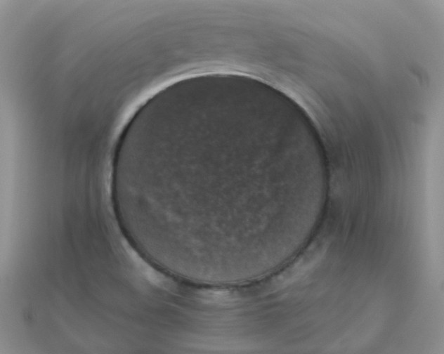 X0000110321508200906042033