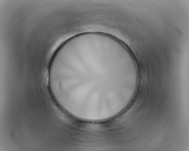 X0000110321509200906042033