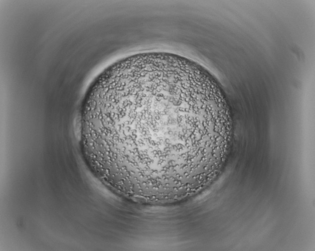 X0000110321510200906042033