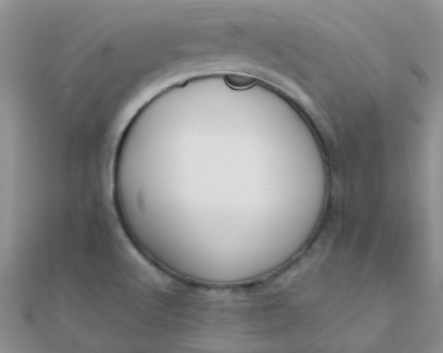 X0000110321512200906042033