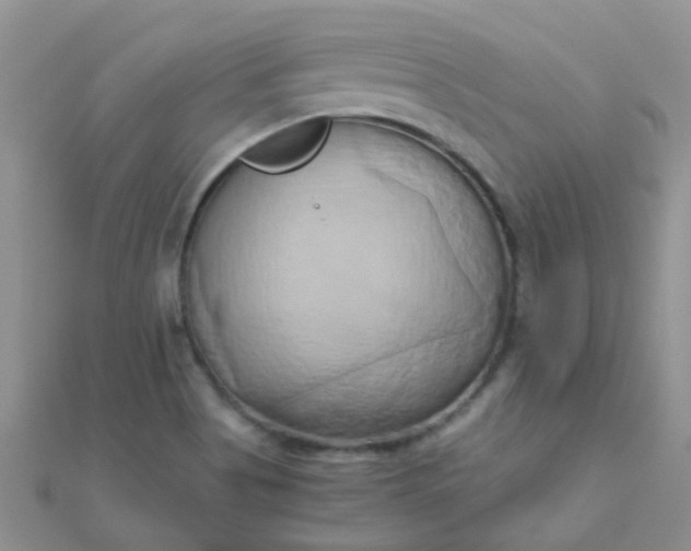 X0000110321513200906042033