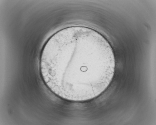 X0000110321514200906042033