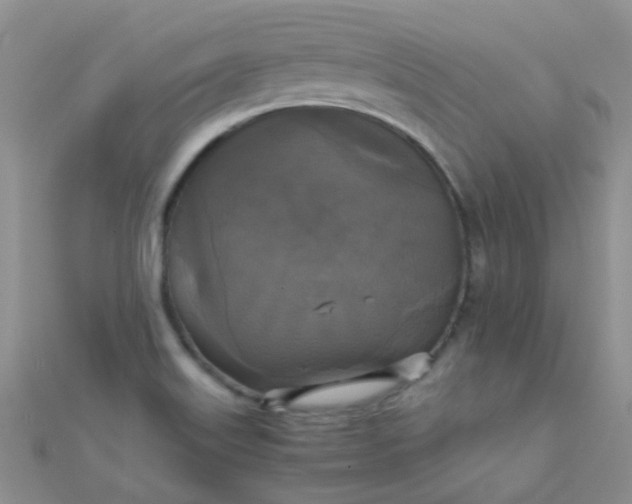 X0000110321515200906042033