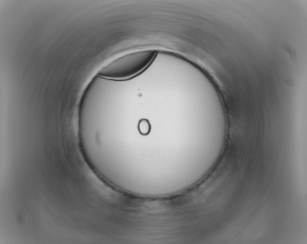 X0000110321516200906042033