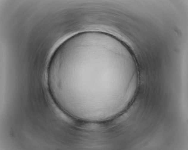 X0000110321517200906042033