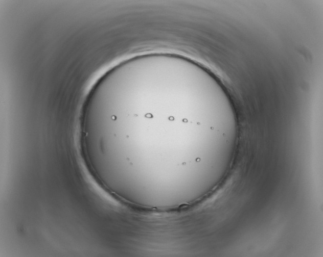 X0000110321518200906042033