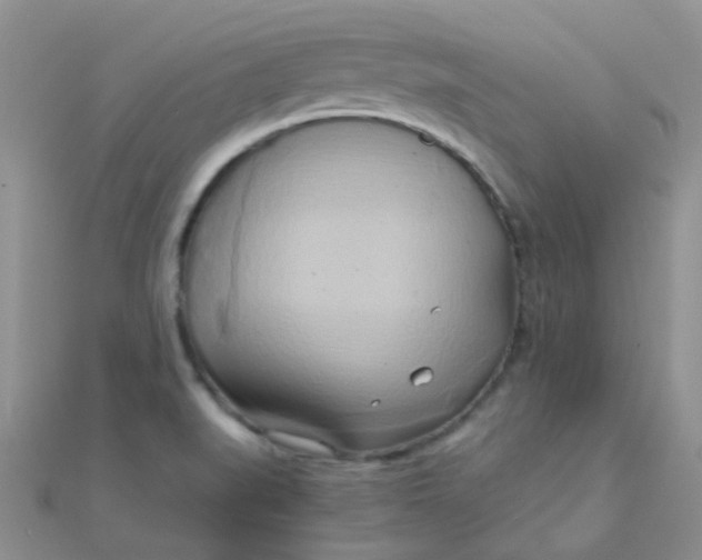 X0000110321519200906042033