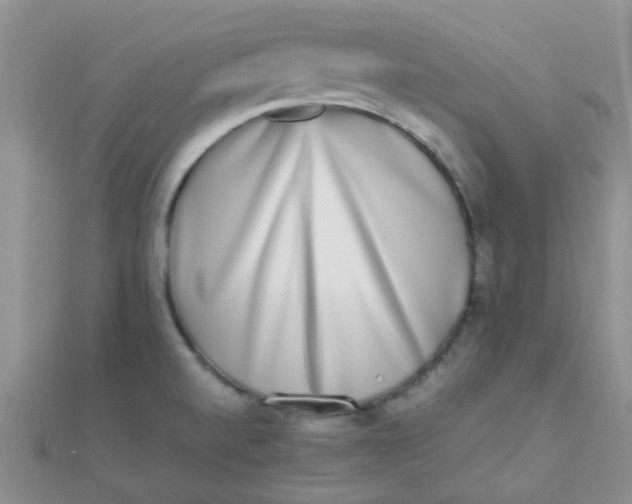 X0000110321520200906042033