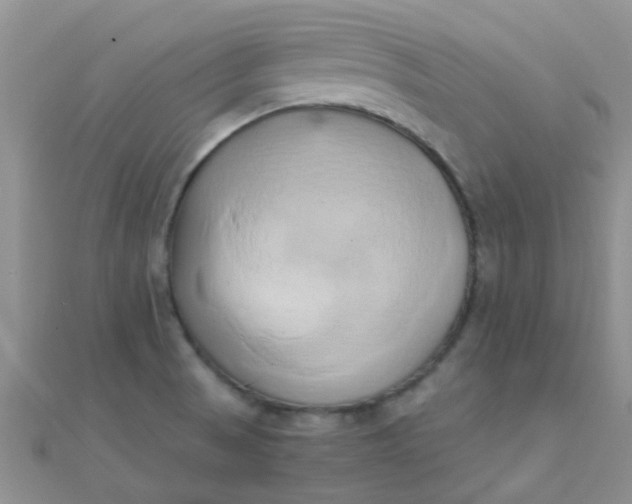 X0000110321521200906042033