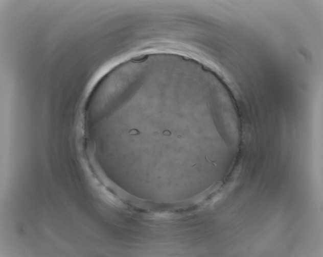 X0000110321522200906042033