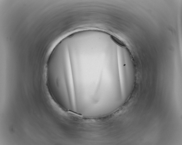 X0000110321524200906042033