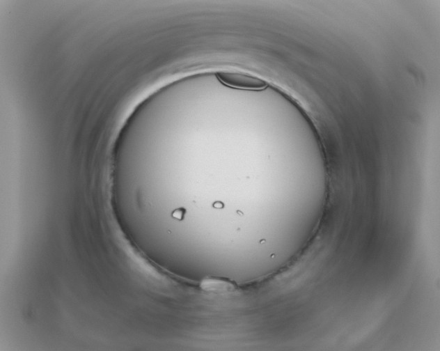 X0000110321526200906042033