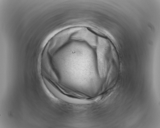 X0000110321528200906042033