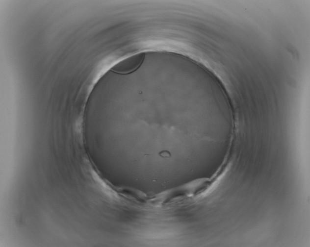 X0000110321529200906042033