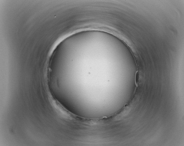 X0000110321530200906042033