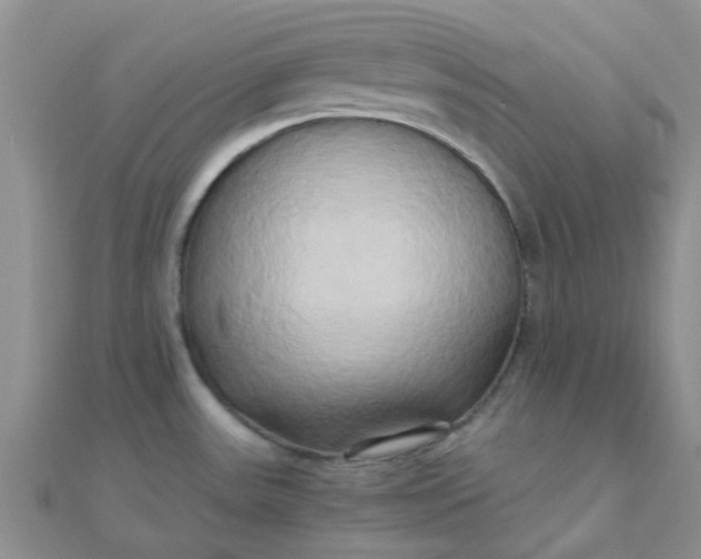 X0000110321531200906042033