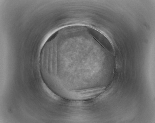 X0000110321532200906042033