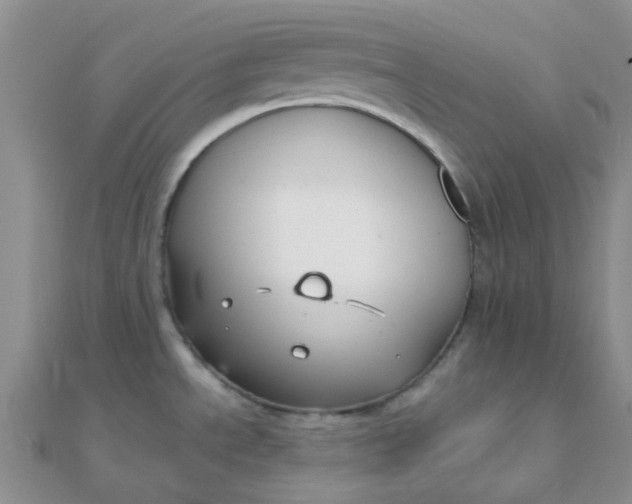 X0000110321534200906042033