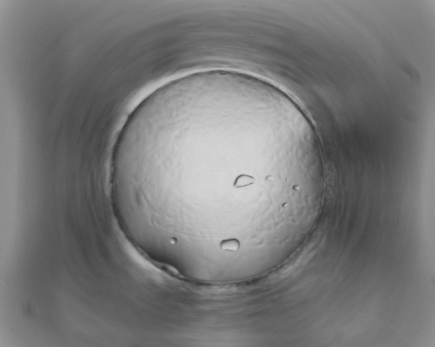 X0000110321535200906042033