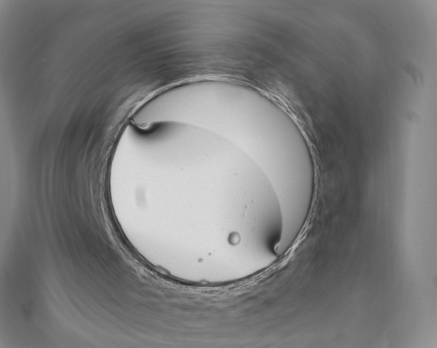 X0000110320001200906111502