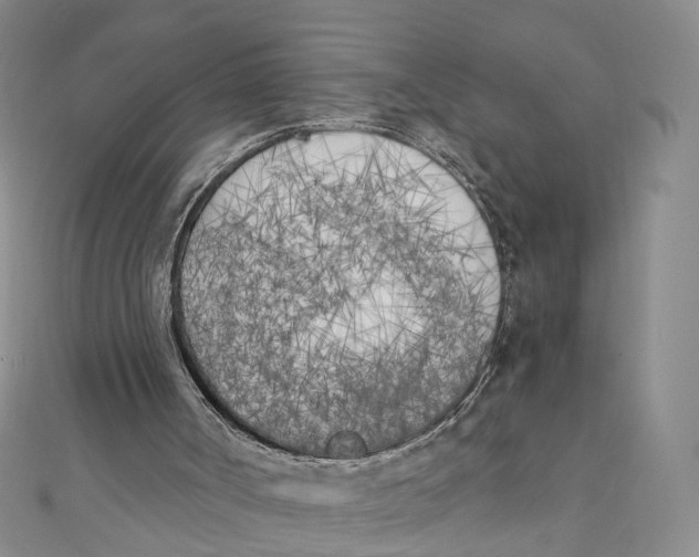 X0000110320002200906111502