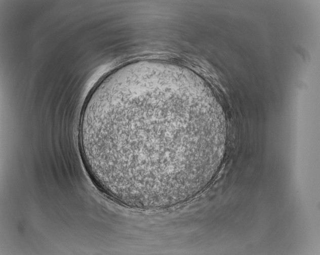 X0000110320003200906111502