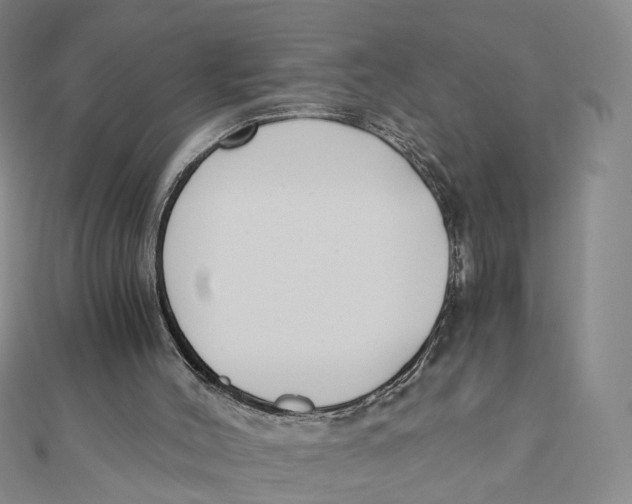 X0000110320004200906111502