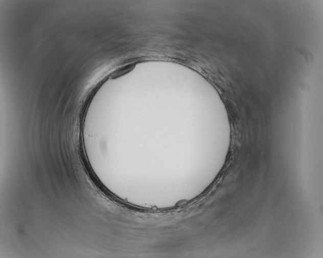 X0000110320005200906111502