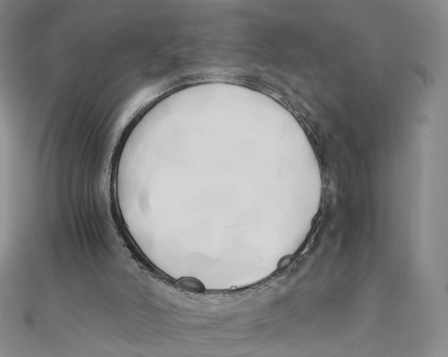 X0000110320006200906111502