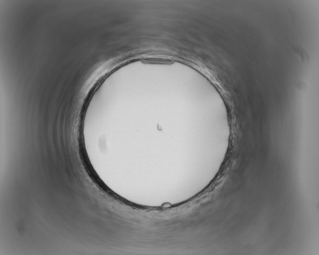 X0000110320007200906111502