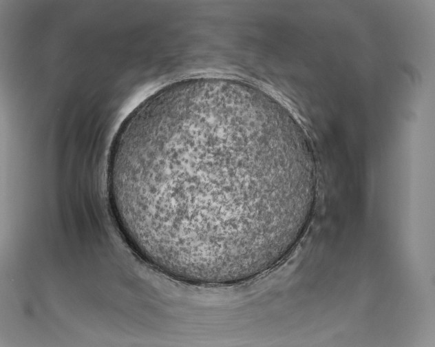 X0000110320008200906111502