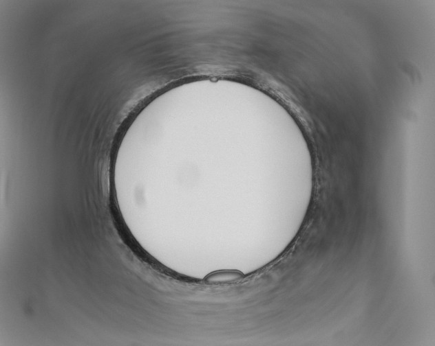 X0000110320011200906111502