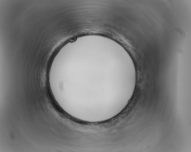 X0000110320012200906111502