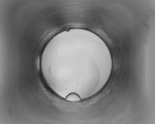 X0000110320014200906111502