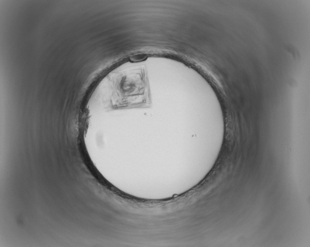 X0000110320015200906111502