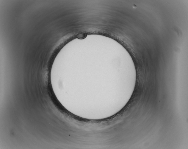 X0000110320016200906111502