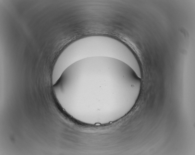 X0000110320017200906111502