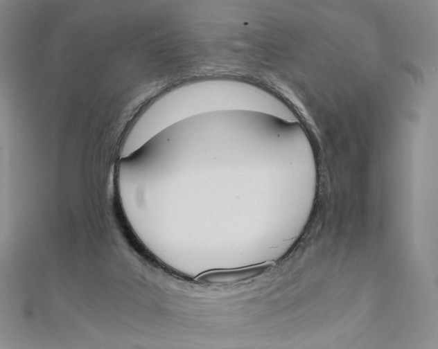 X0000110320019200906111502