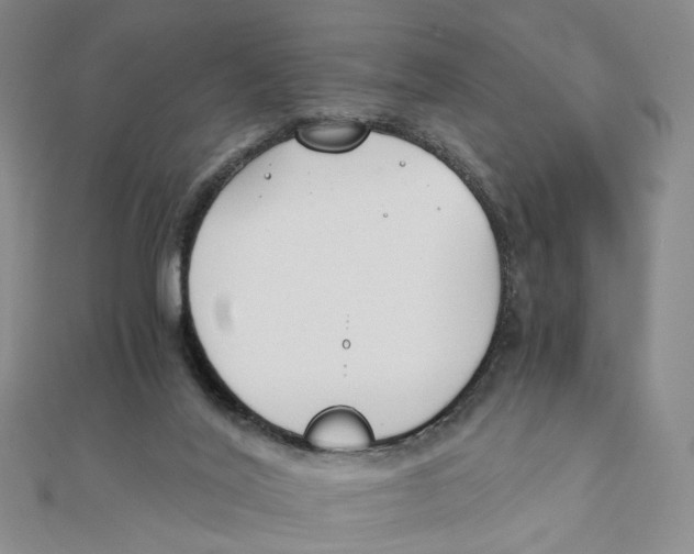 X0000110320020200906111502