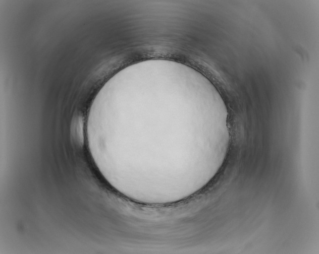 X0000110320022200906111502