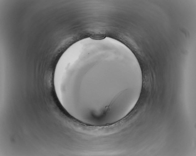 X0000110320023200906111502