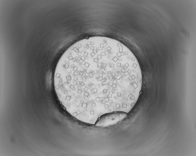 X0000110320024200906111502